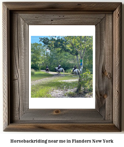 horseback riding near me in Flanders, New York